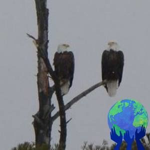 Meet your Posher, Cathy